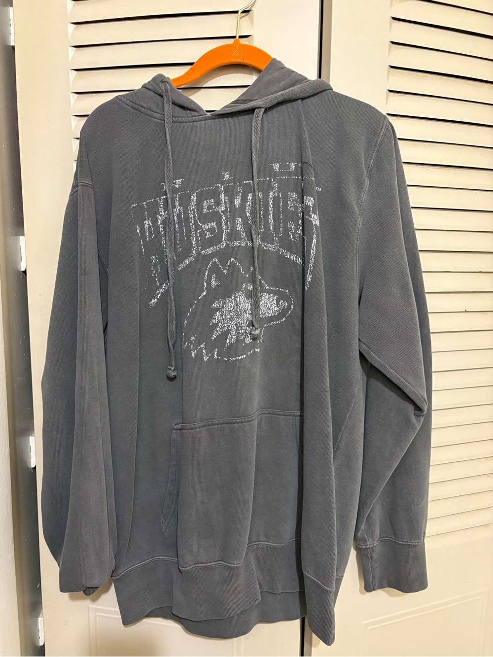 Huskies Graphic Hoodie - Gray